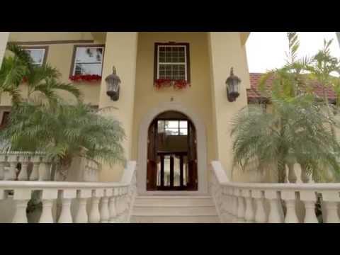 Video 2 - Steve Palermo