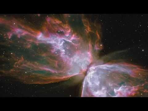 Video 1 - Tim Brewster