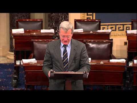 Video 2 - Wayne Tinkle