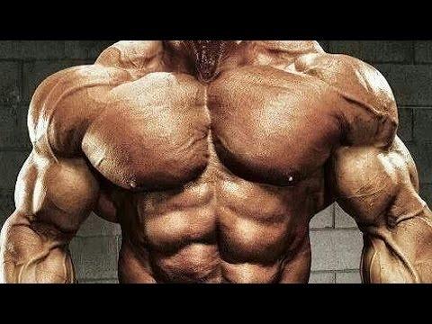 Video 2 - Jay Cutler