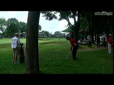 Video 2 - Frank Lickliter II