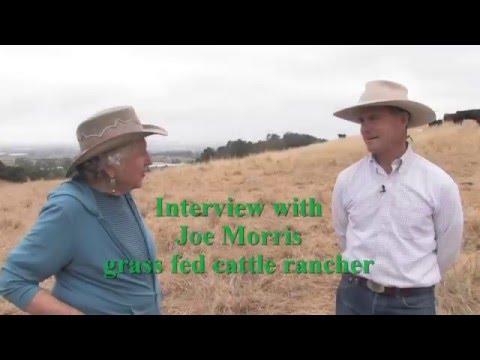 Video 6 - Joe Morris