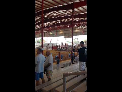 Video 6 - Doug Blevins