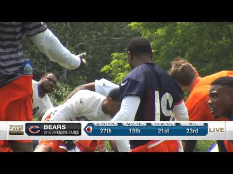 Video 5 - Stacey Dales