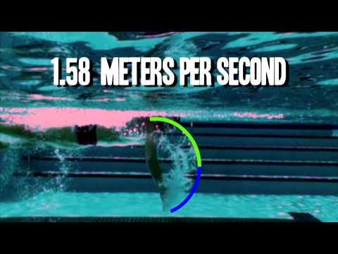 Video 3 - Flavia Delaroli