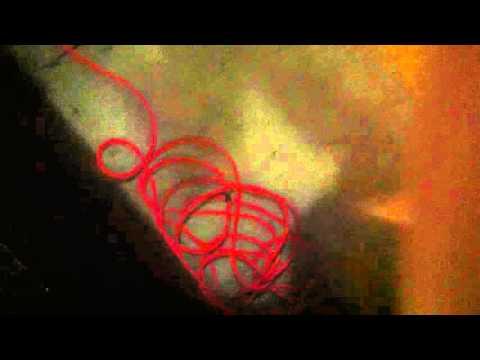 Video 2 - Artavis Scott