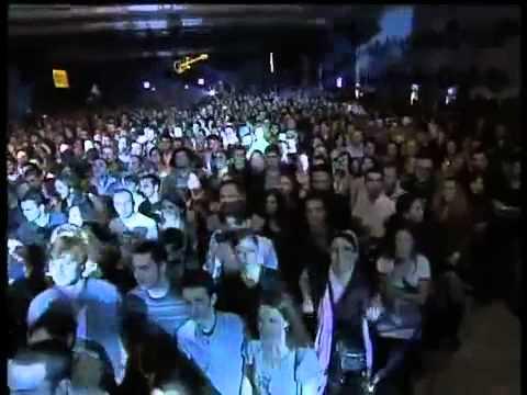 Video 6 - Steve Grogan