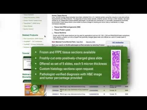 Video 3 - Annie Boulanger