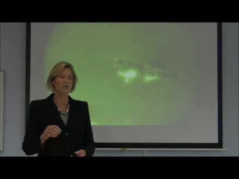 Video 1 - Troy Dumais