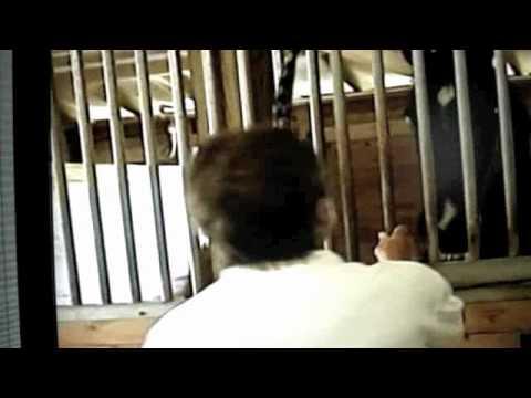 Video 5 - Eddie Maple