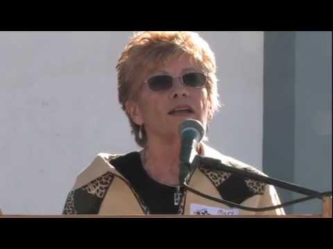 Video 2 - Lisa Fernandez