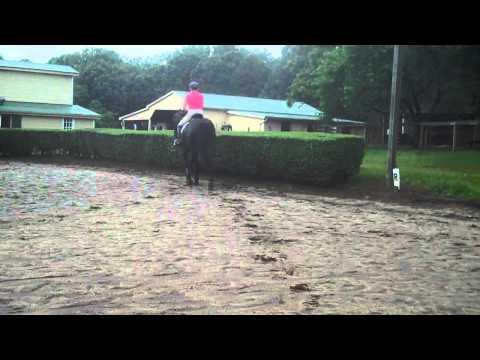 Video 2 - Laura Tomlinson