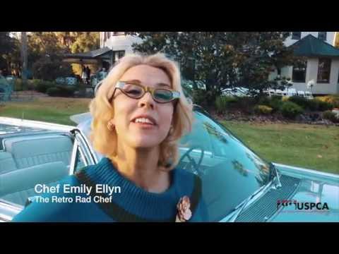 Video 3 - Emily Cook