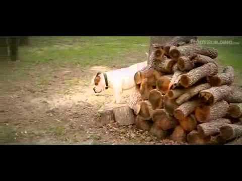 Video 6 - Branch Warren