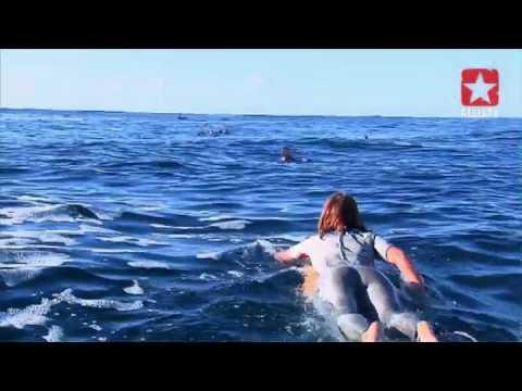 Video 2 - Erica Hosseini