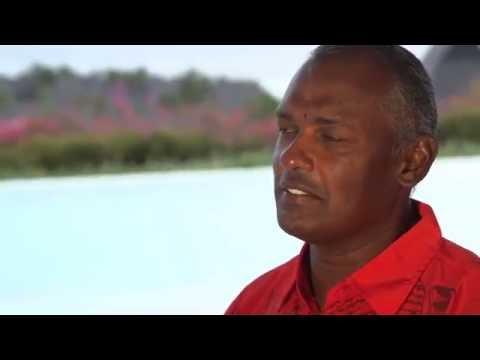 Video 4 - Vijay Singh