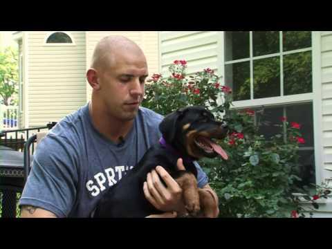 Video 4 - James Laurinaitis