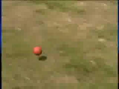 Video 3 - Esther Vergeer