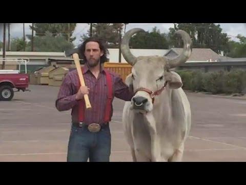 Video 6 - Madison Bumgarner