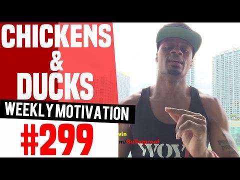 Video 2 - Lon Kruger