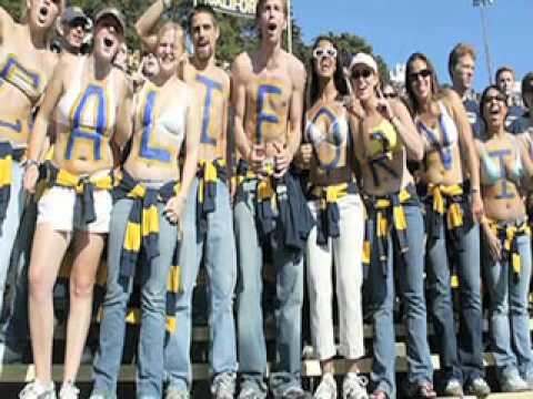 Video 6 - Shane Vereen