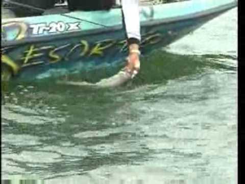 Video 6 - Byron Velvick