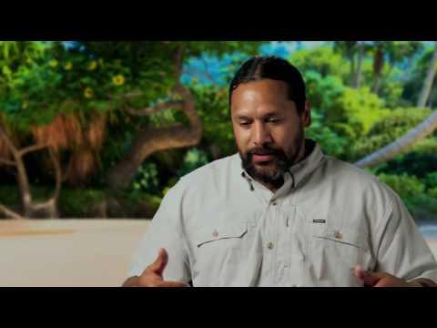 Video 4 - Troy Polamalu