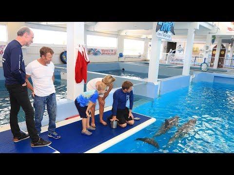 Video 2 - John MacLean