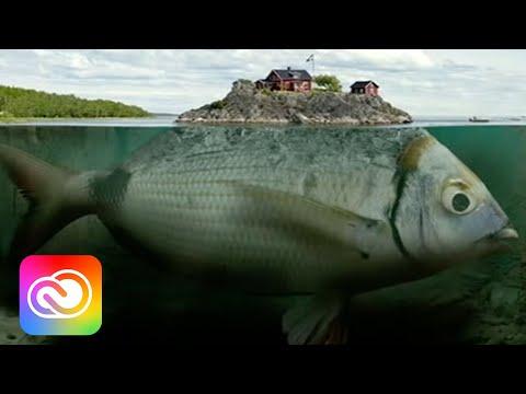 Video 1 - Aron Johannsson