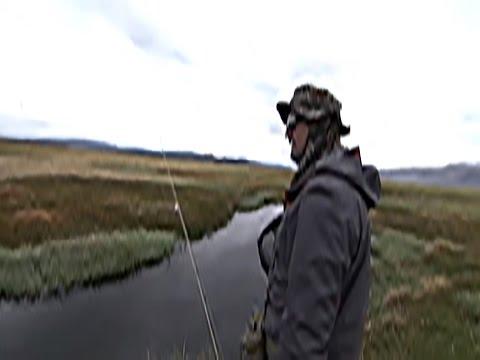 Video 5 - David Wells