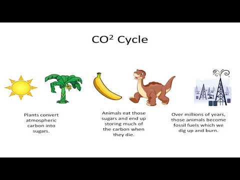 Video 1 - Zack Crockett