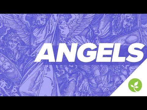 Video 1 - Greg Holland