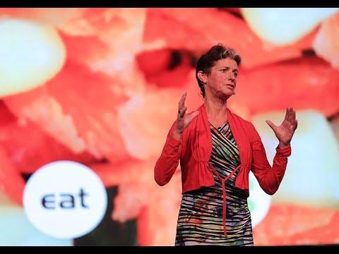 Video 2 - David Verburg