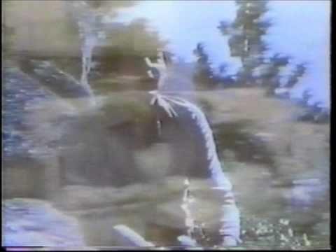 Video 6 - David Nelson