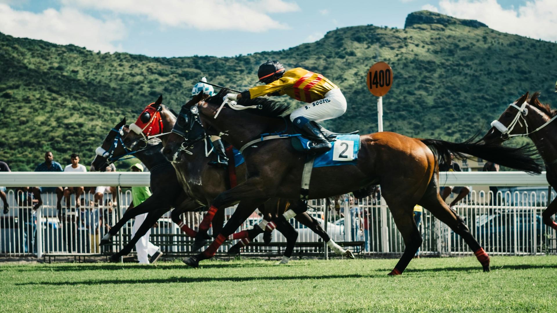 Horse Racing Speakers speakers