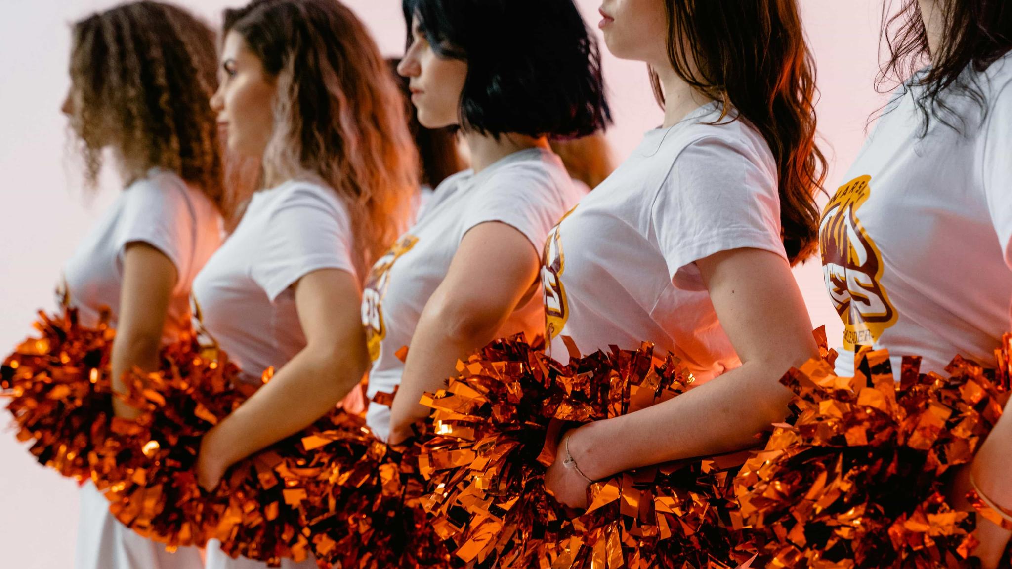 Cheerleaders and Team Dancer Appearances hero