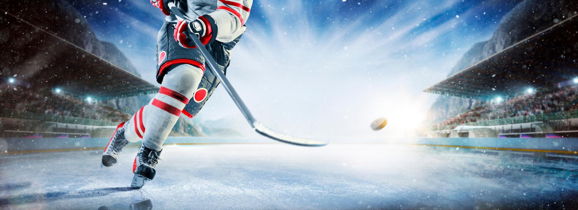 Indigenous Hockey Speakers