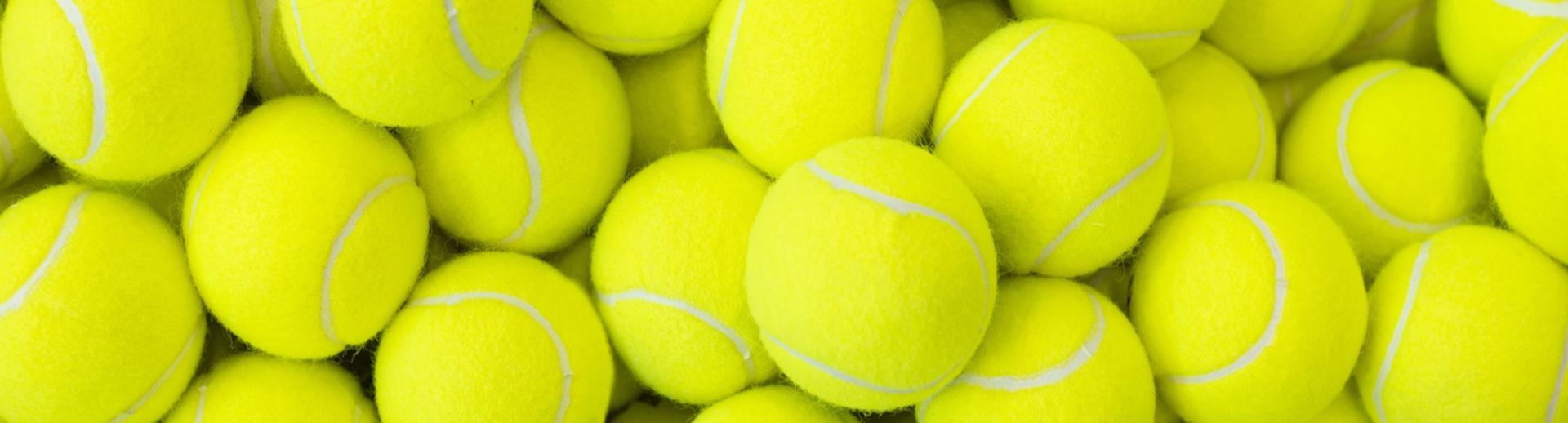 Legendary Tennis Grand Slam Champions