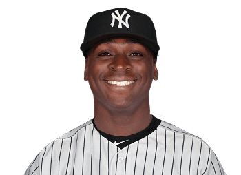 Didi Gregorius - Professional Sports Motivational Speaker